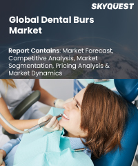 Global Dental Burs Market