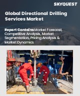 Global Directional Drilling Services Market