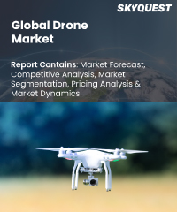 Global Drone Market