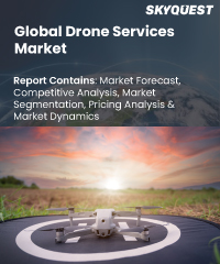 Global Drone Services Market
