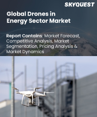 Global Drones in Energy Sector Market