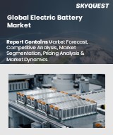 Global Electric Battery Market