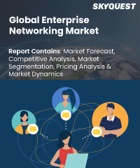 Global Enterprise Networking Market