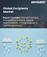Global Excipients Market