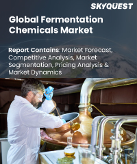 Global Fermentation Chemicals Market