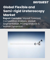 Global Flexible and Semi-rigid Ureteroscopy Market