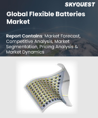 Global Flexible Batteries Market
