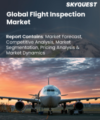 Global Flight Inspection Market