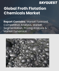 Global Froth Flotation Chemicals Market