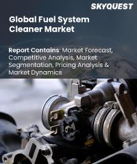 Global Fuel System Cleaner Market