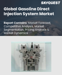 Global Gasoline Direct Injection System Market