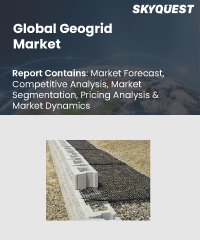 Global Geogrid Market