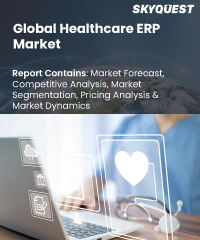 Global Healthcare ERP Market
