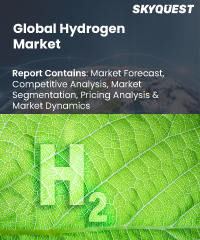 Global Hydrogen Market