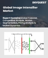 Global Image Intensifier Market