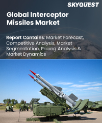 Global Interceptor Missiles Market