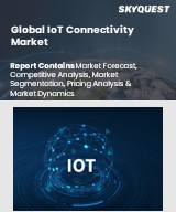 Global IoT Connectivity Market
