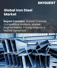 Global Iron Steel Market