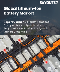 Global Lithium-Ion Battery  Market