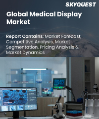 Global Medical Display Market