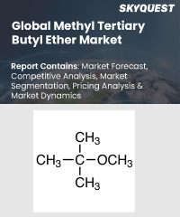 Global Methyl Tertiary Butyl Ether Market