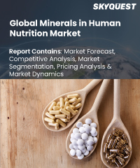 Global Minerals in Human Nutrition Market