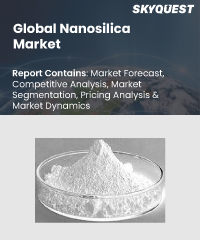 Global Nanosilica Market
