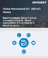 Global Narrowband-IoT (NB-IoT) Market