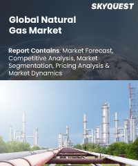 Global Natural Gas Market