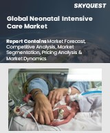 Global Neonatal Intensive Care Market