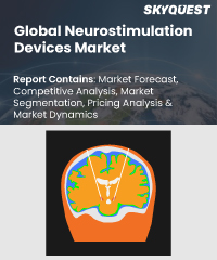 Global Neurostimulation Devices Market
