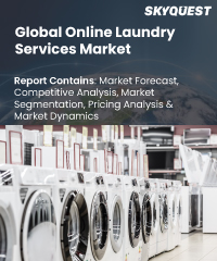 Global Online Laundry Services Market