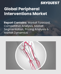 Global Peripheral Interventions Market