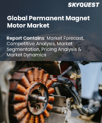 Global Permanent Magnet Motor Market