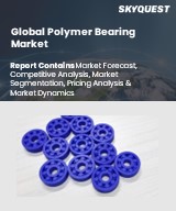 Global Polymer Bearing Market