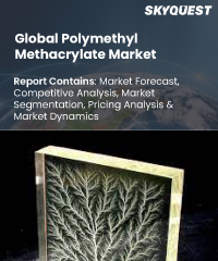 Global Polymethyl Methacrylate Market