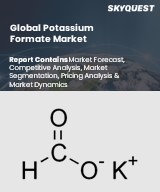 Global Potassium Formate Market
