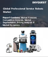Global Professional Service Robots Market