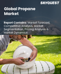 Global Propane Market