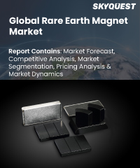 Global Rare Earth Magnet Market