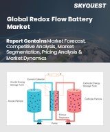 Global Redox Flow Battery Market