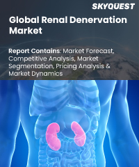 Global Renal Denervation Market