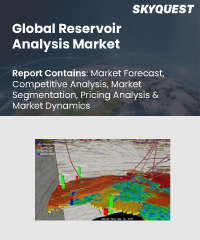 Global Reservoir Analysis Market