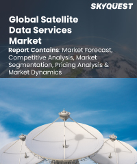 Global Satellite Data Services Market