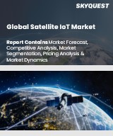 Global Satellite IoT Market