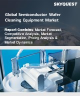 Global Semiconductor Wafer Cleaning Equipment Market