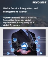 Global Service Integration and Management Market