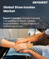 Global Shoe Insoles Market
