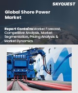 Global Shore Power Market