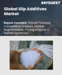 Global Slip Additives Market